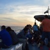 Viaje a Isla Martín García 132
