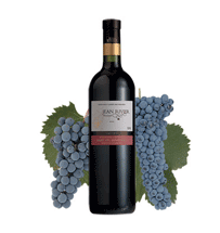 Malbec Jean Rivier