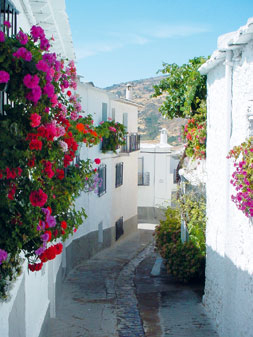 image002